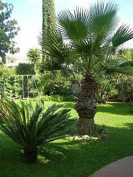 Notti Romane Infernetto